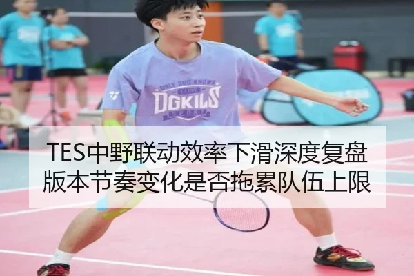TES中野联动效率下滑深度复盘版本节奏变化是否拖累队伍上限